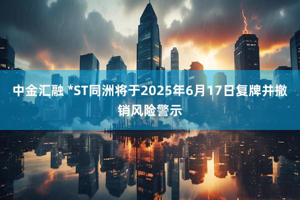 中金汇融 *ST同洲将于2025年6月17日复牌并撤销风险警示