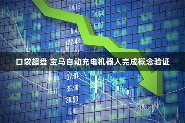 口袋超盘 宝马自动充电机器人完成概念验证