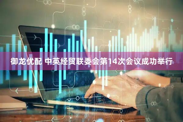 御龙优配 中英经贸联委会第14次会议成功举行
