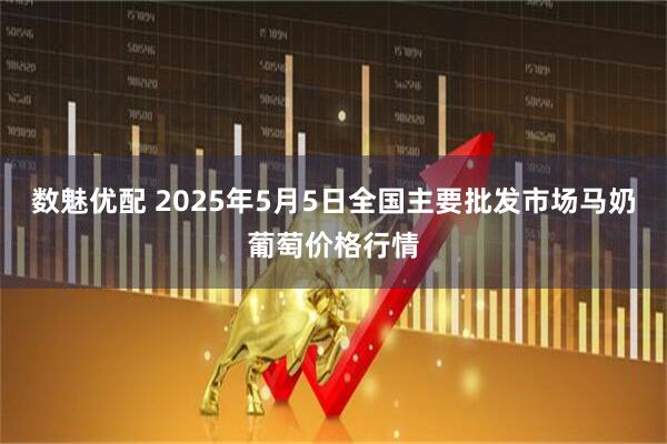 数魅优配 2025年5月5日全国主要批发市场马奶葡萄价格行情